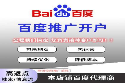 百度推广实战：案例分享与数据解读